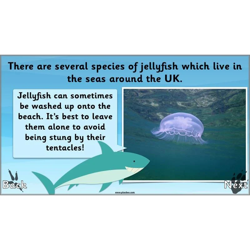 Animals Around the World - Image 36
