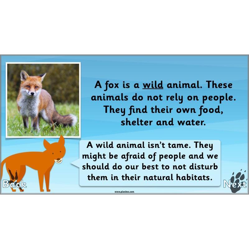Animals Around the World - Image 6