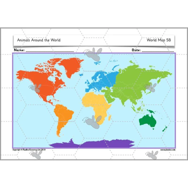 Animals Around the World - Image 62