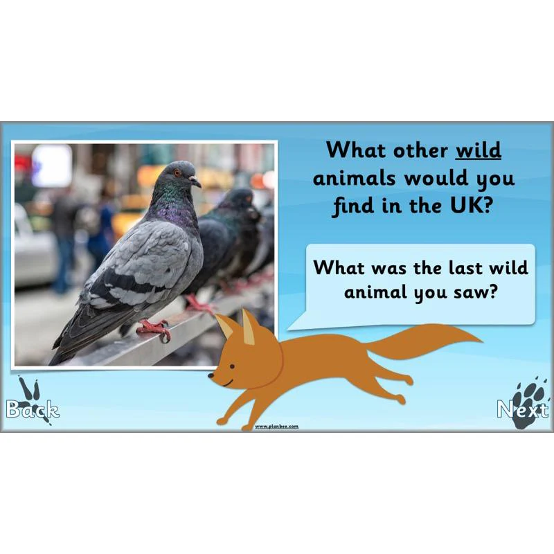 Animals Around the World - Image 69