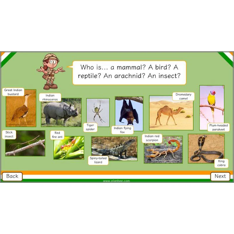 Animals of India - Image 7