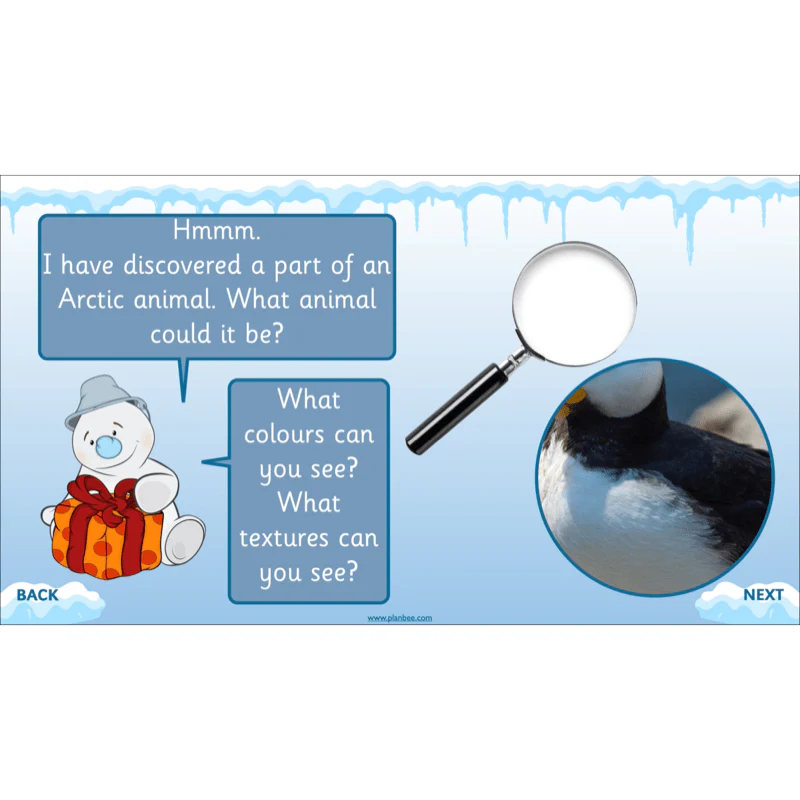 Let's go to the Arctic - Image 48