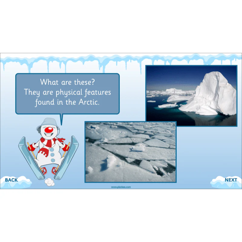Let's go to the Arctic - Image 7