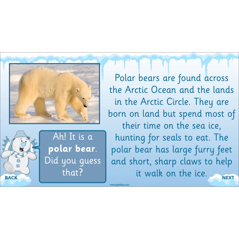 Let's go to the Arctic - Image 9