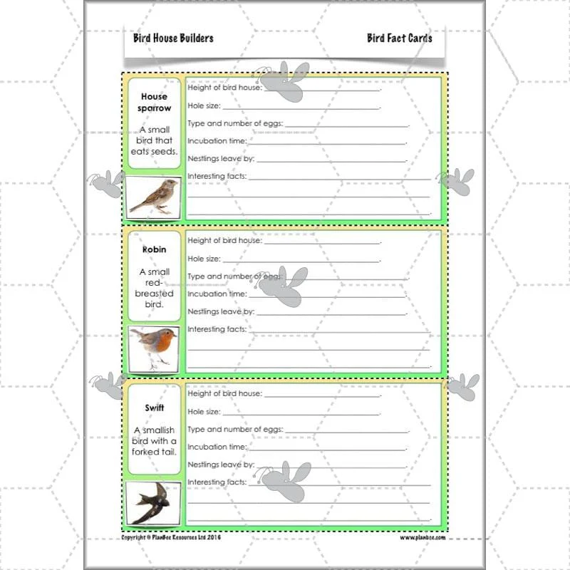 Bird House Builders - Image 13