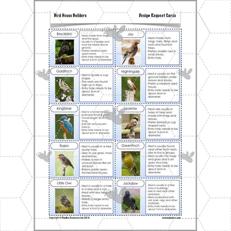 Bird House Builders - Image 17