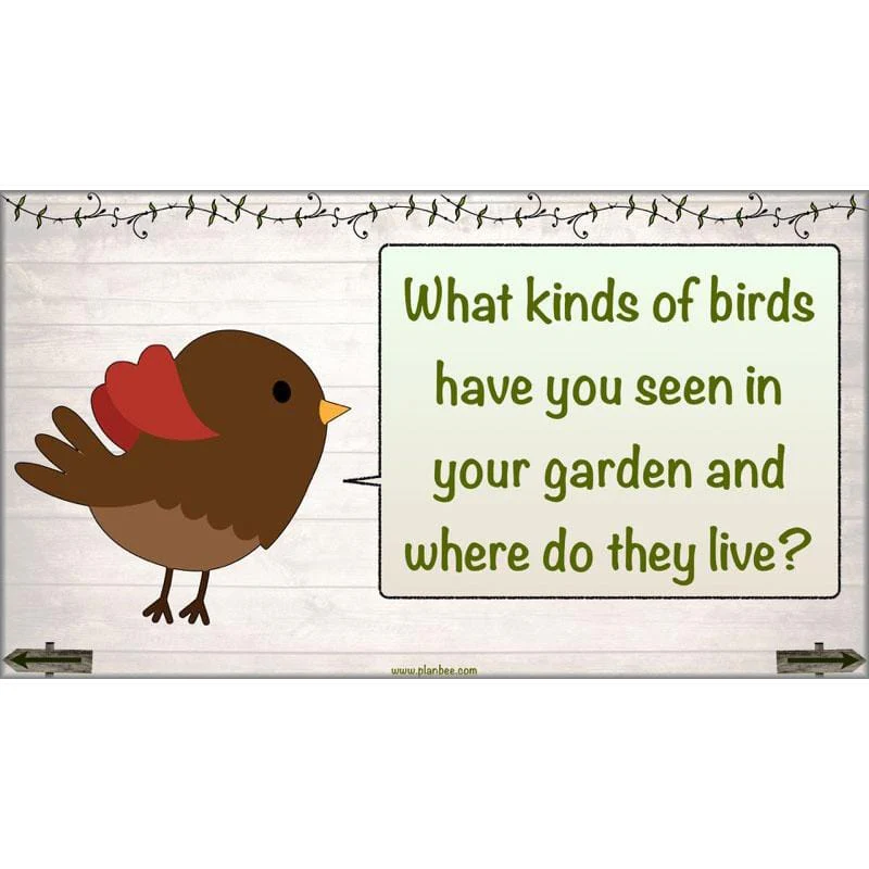 Bird House Builders - Image 23