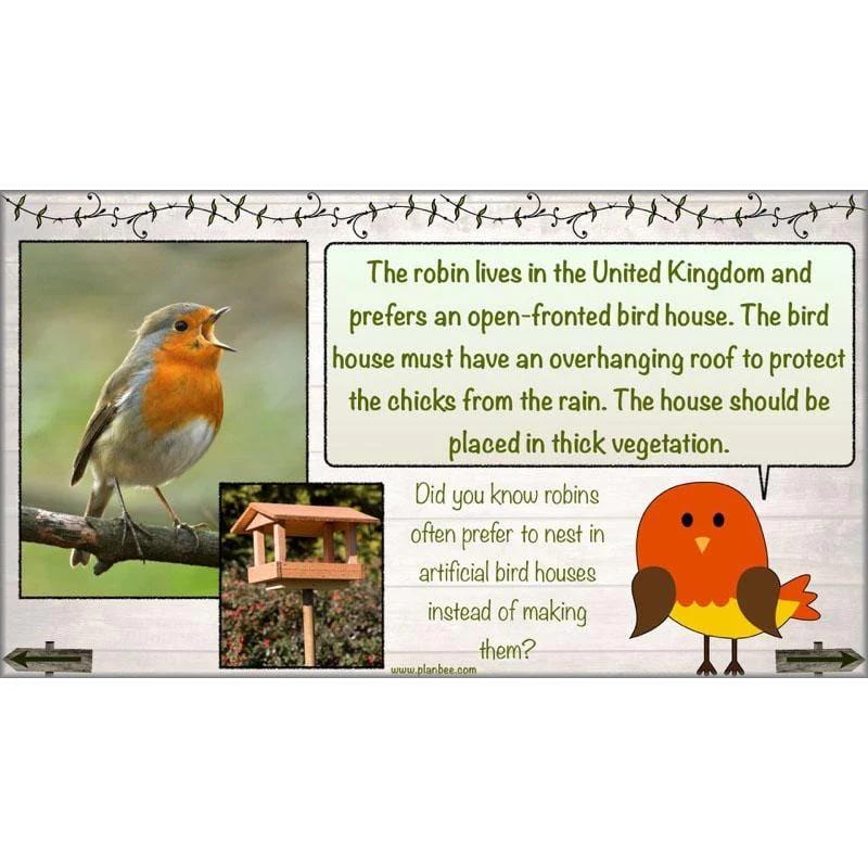 Bird House Builders - Image 25