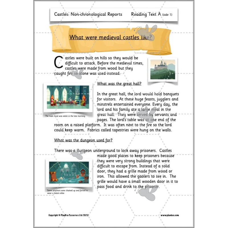 Castles: Non-chronological Reports - Image 32