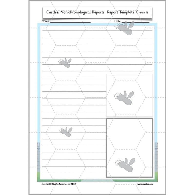 Castles: Non-chronological Reports - Image 73