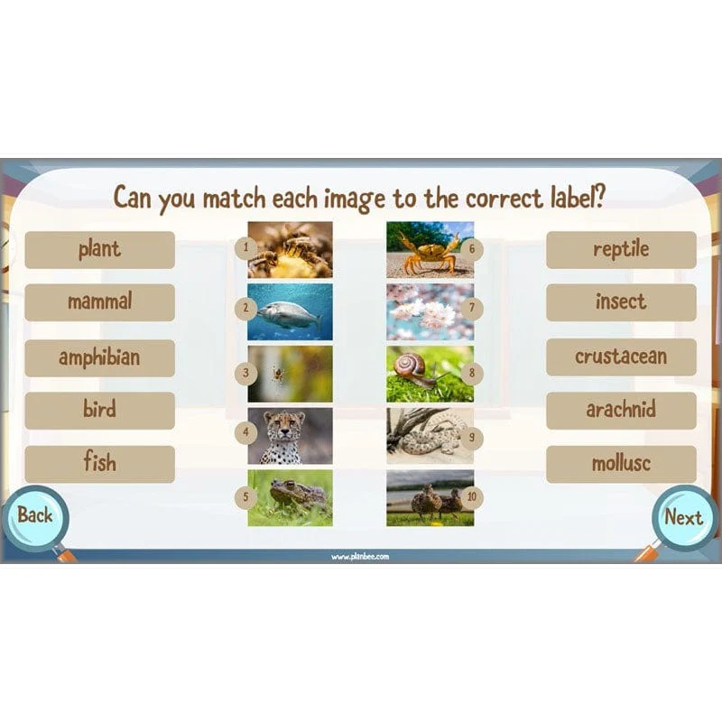 Classifying Organisms - Image 21
