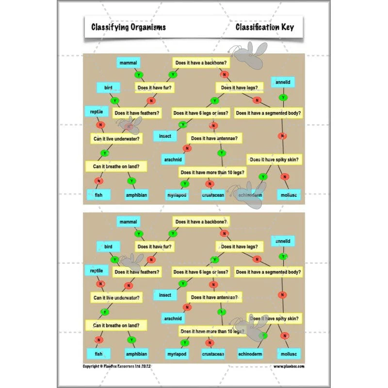 Classifying Organisms - Image 26