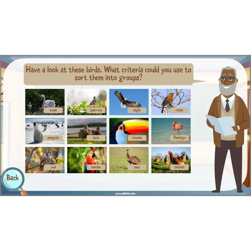 Classifying Organisms - Image 32