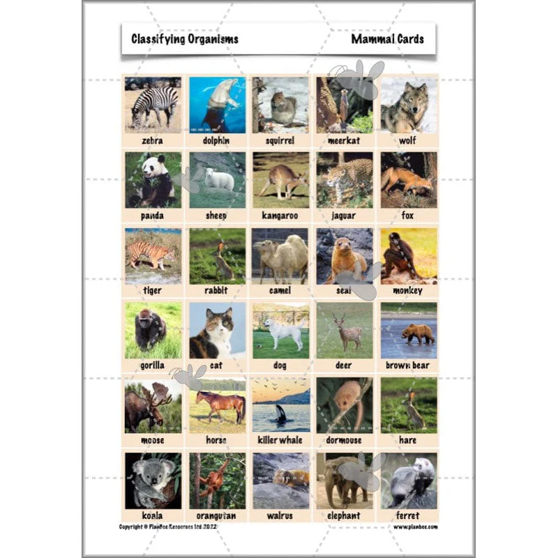 Classifying Organisms - Image 34