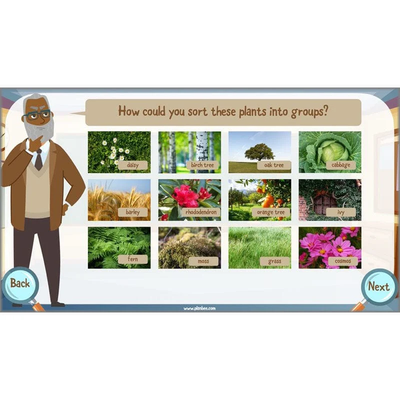 Classifying Organisms - Image 37