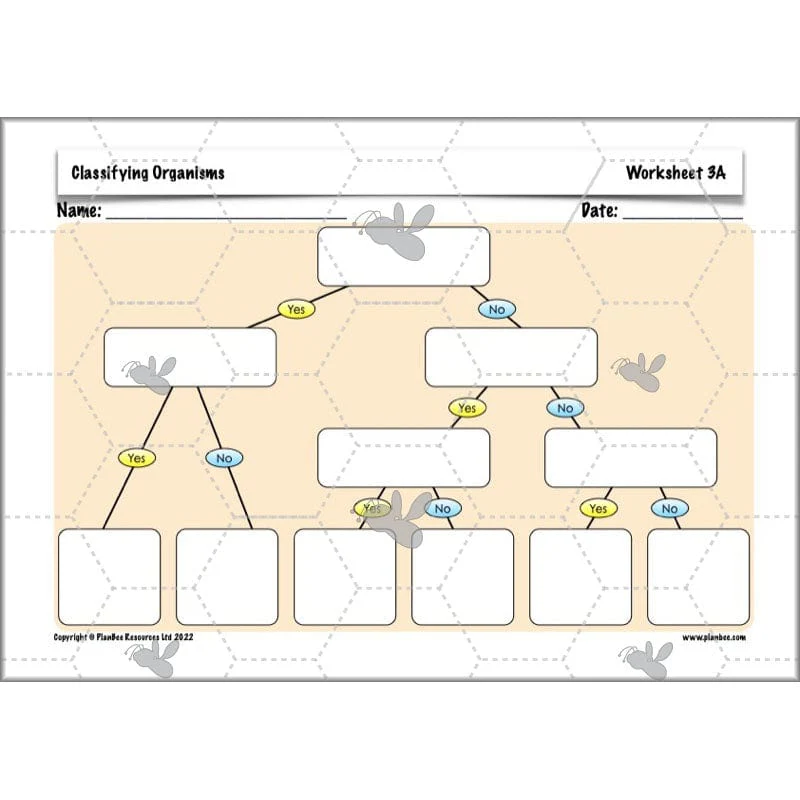 Classifying Organisms - Image 41