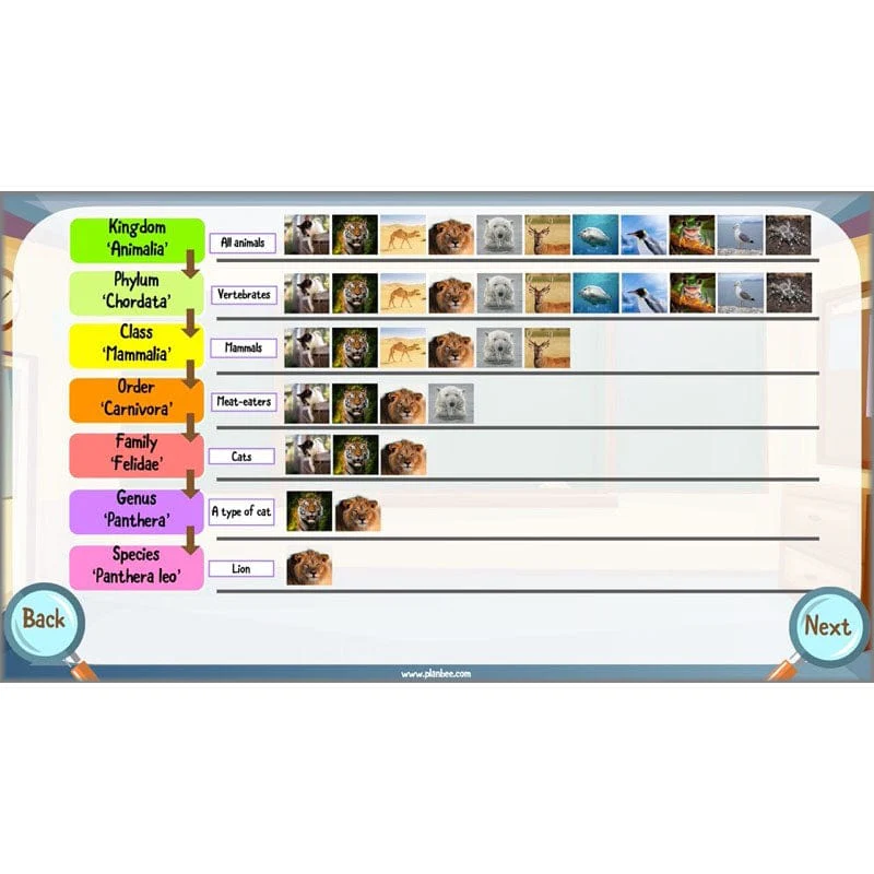 Classifying Organisms - Image 48