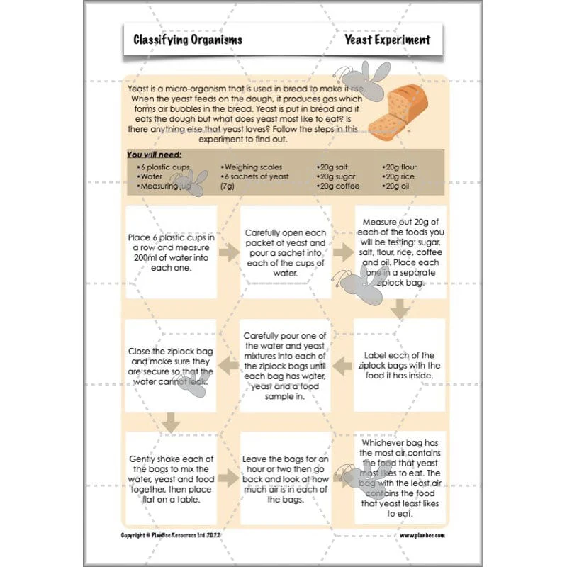 Classifying Organisms - Image 59