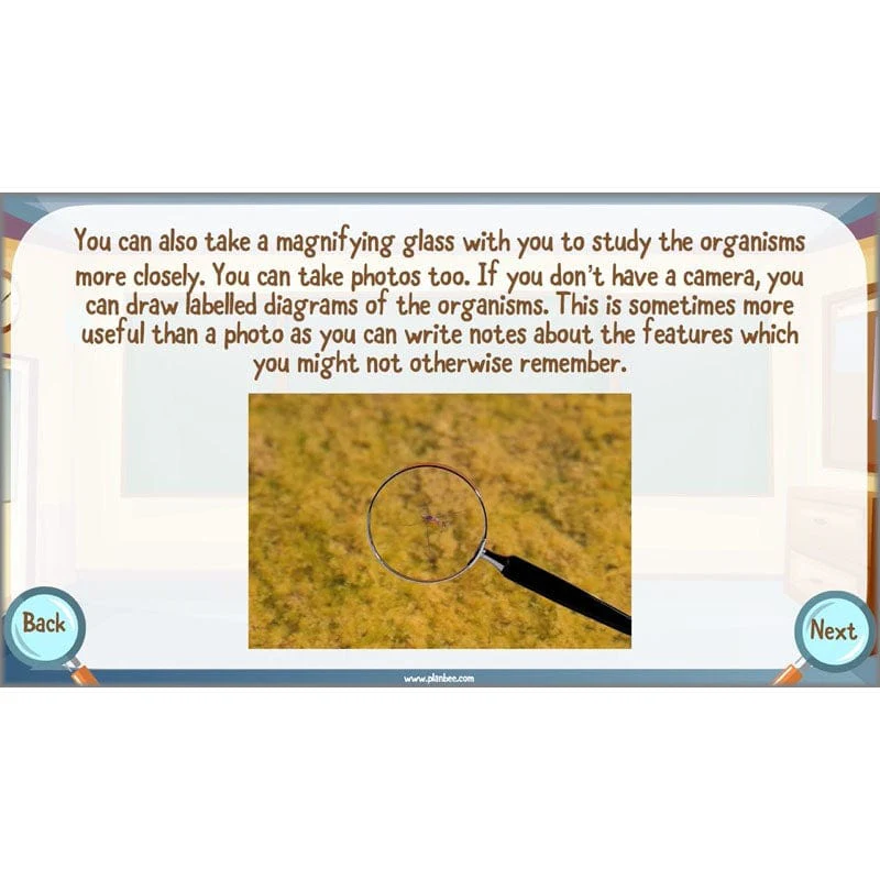 Classifying Organisms - Image 62