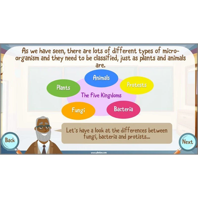Classifying Organisms - Image 7