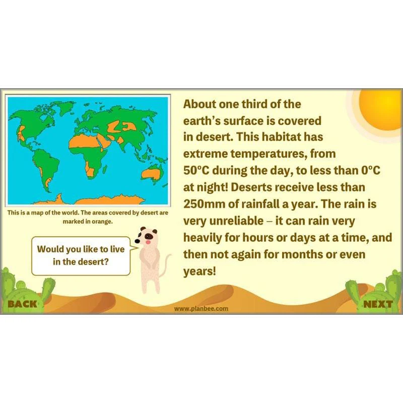 Desert Life - Image 3