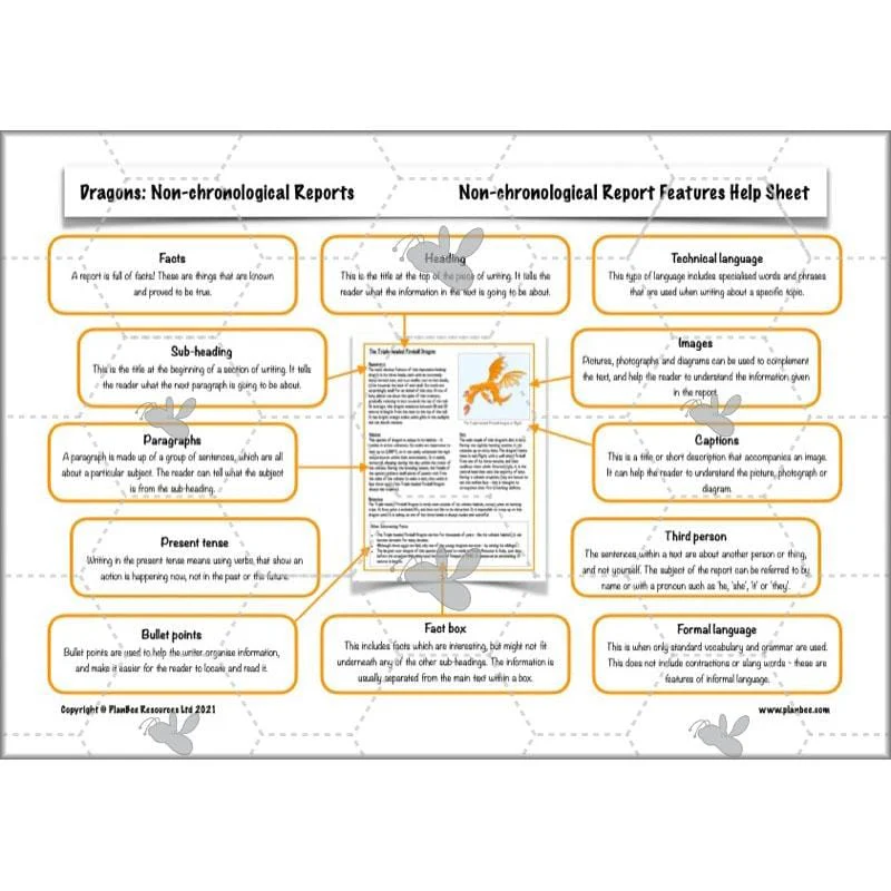 Dragons: Non-chronological Reports - Image 47