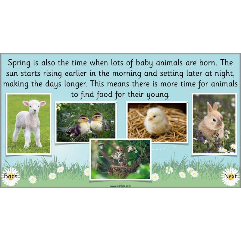 Easter Beginnings - Image 3