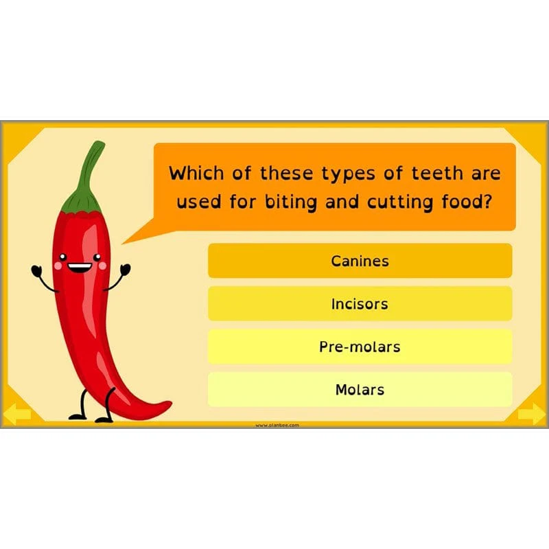 Eating and Digestion - Image 10