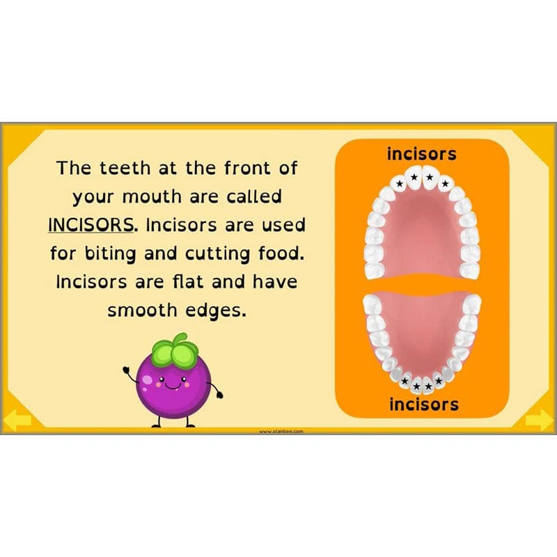 Eating and Digestion - Image 5