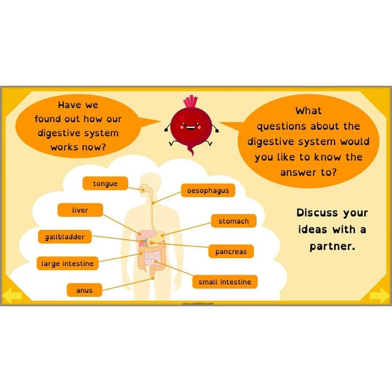Eating and Digestion - Image 57