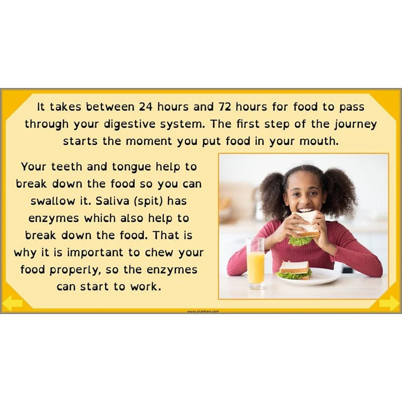 Eating and Digestion - Image 63