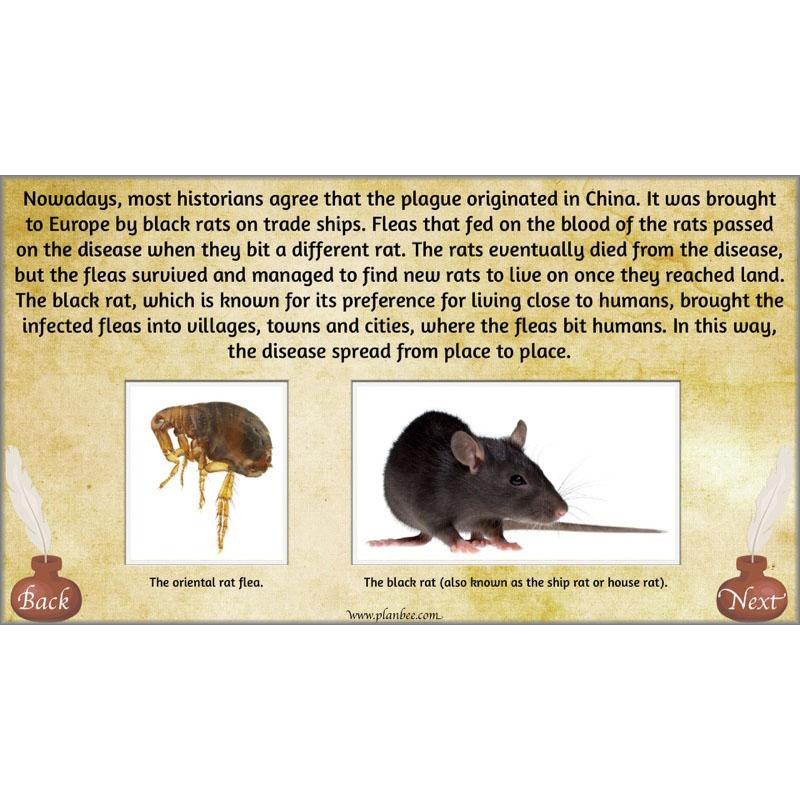 Elizabethan England - Image 5