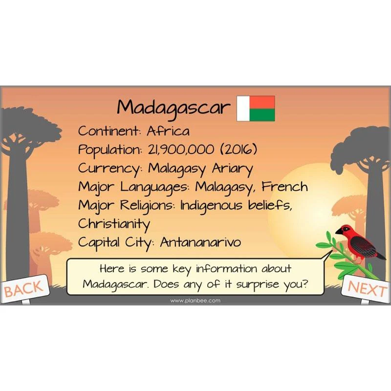 Exploring Madagascar - Image 5
