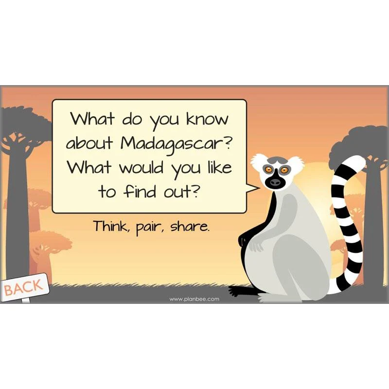 Exploring Madagascar - Image 9