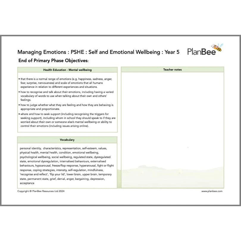 Feelings and Emotions Topic Bundle - Image 4