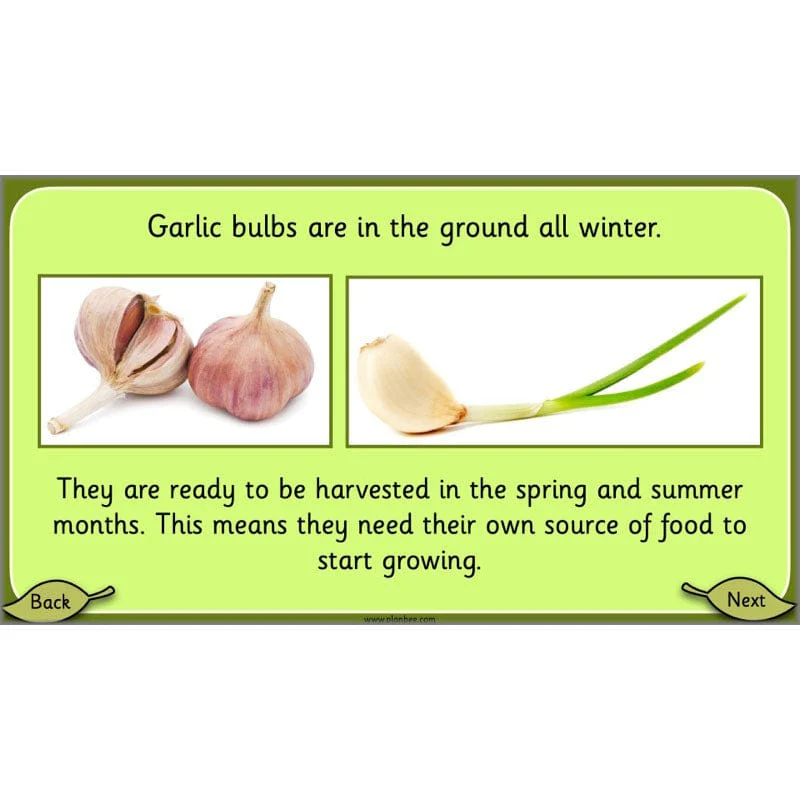 Growing Plants - Image 28