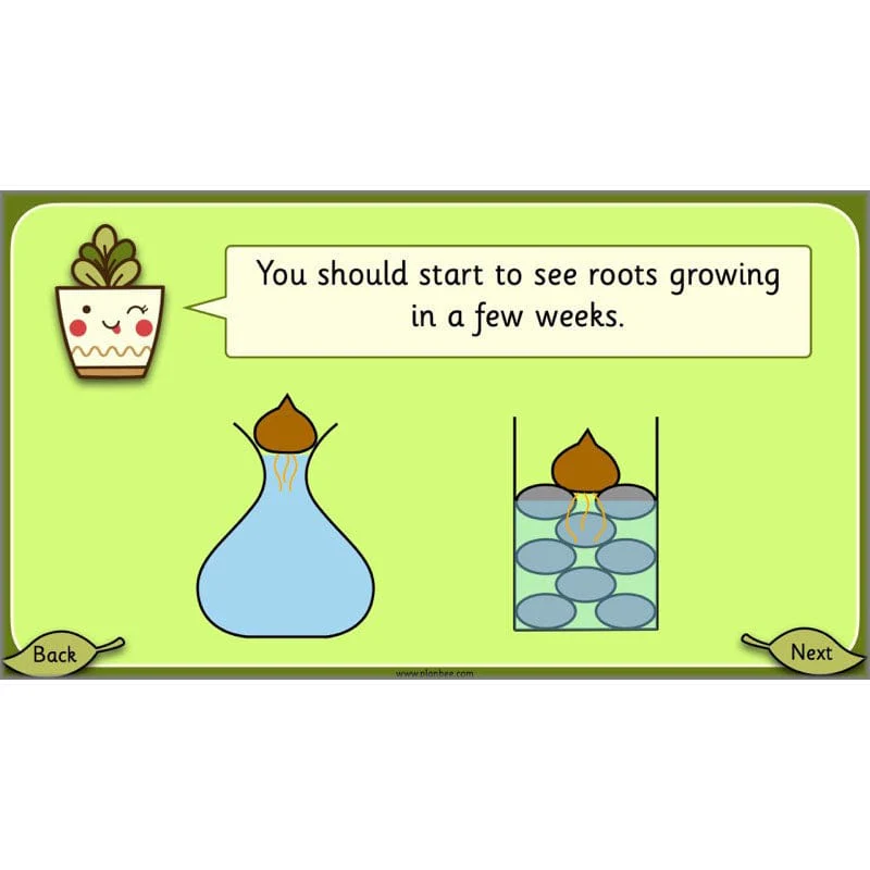 Growing Plants - Image 29