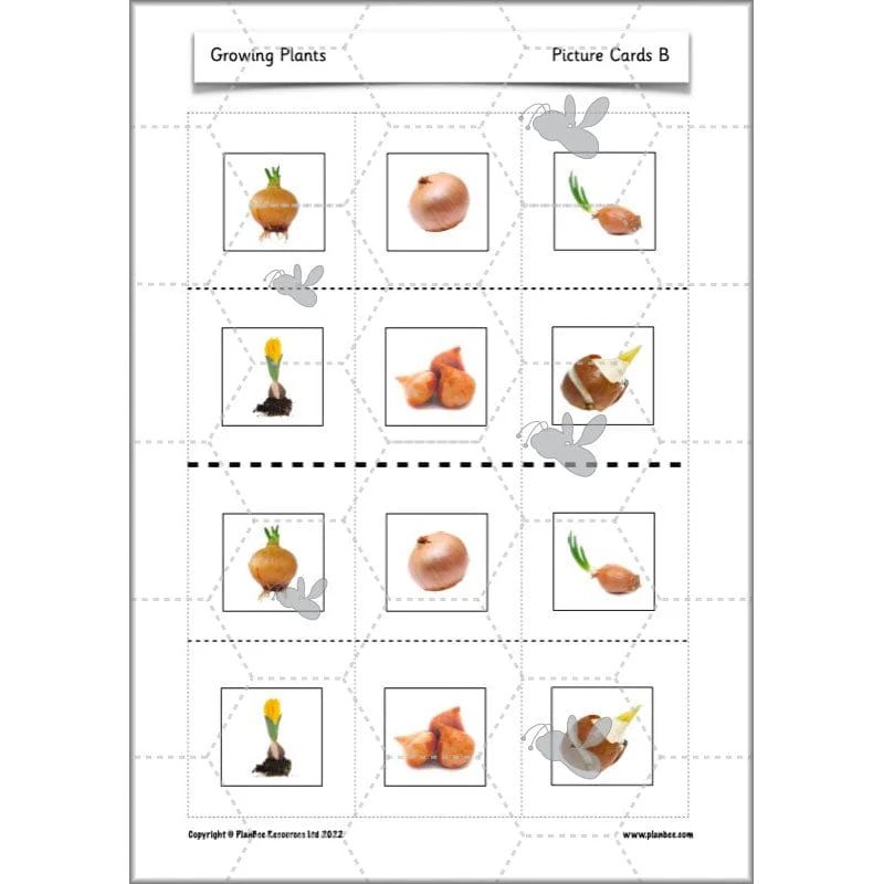 Growing Plants - Image 32