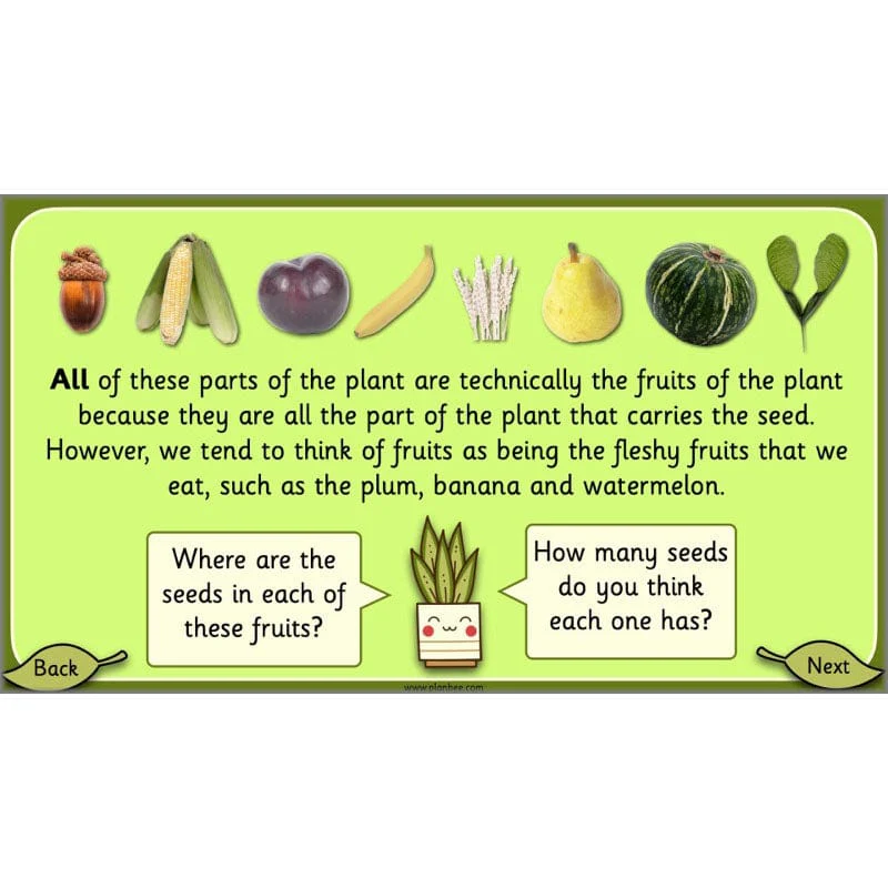 Growing Plants - Image 35