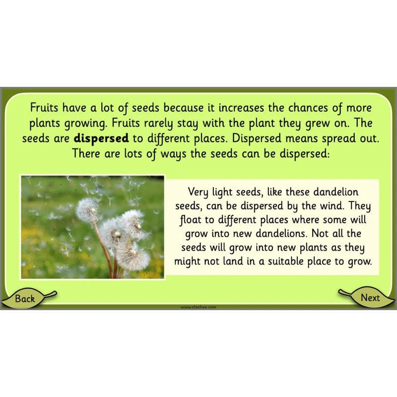 Growing Plants - Image 36