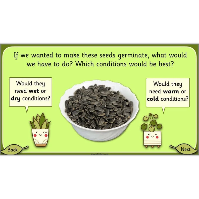 Growing Plants - Image 44