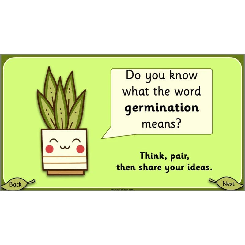 Growing Plants - Image 6
