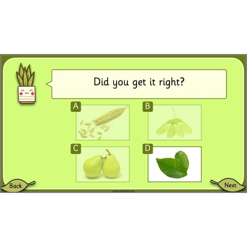 Growing Plants - Image 7