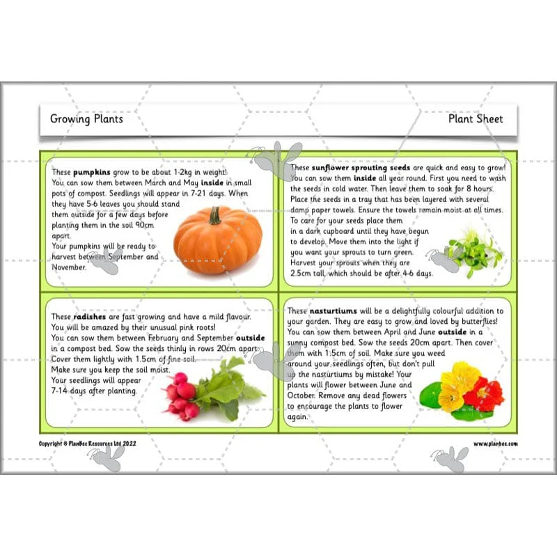 Growing Plants - Image 9
