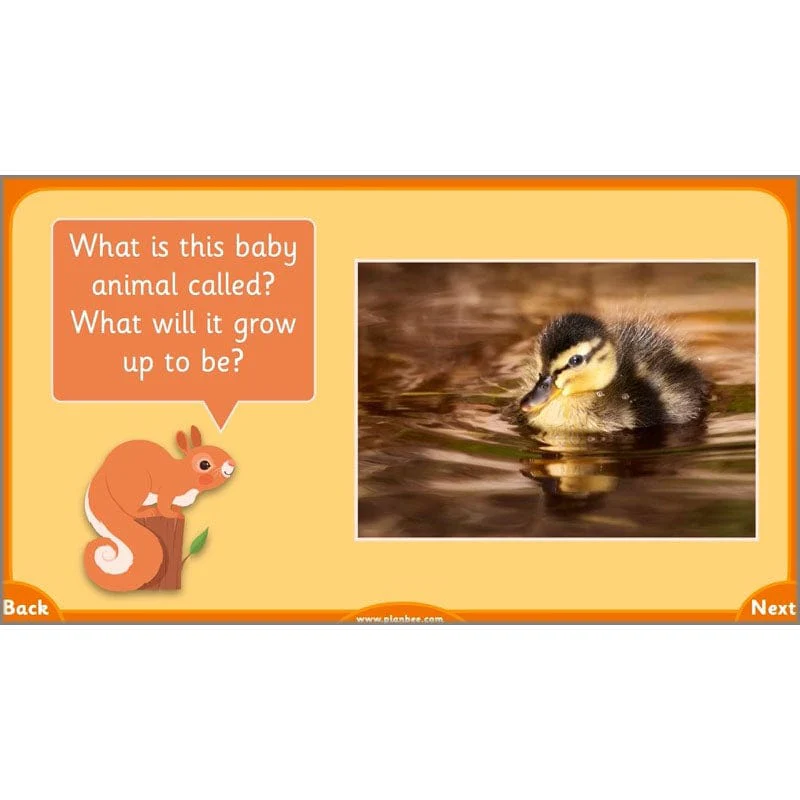 Growth and Survival - Image 32