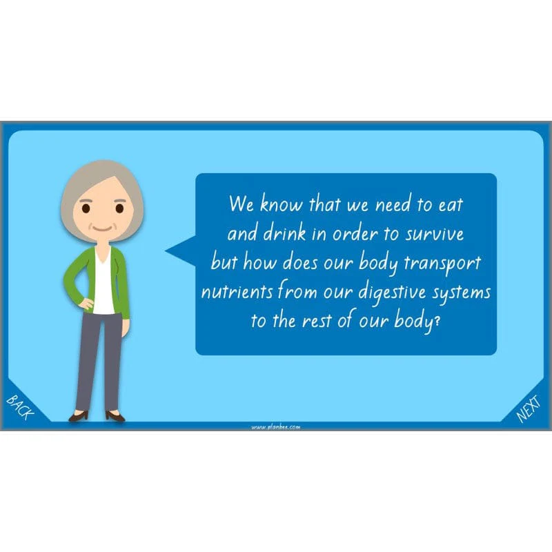 Healthy Bodies - Image 41