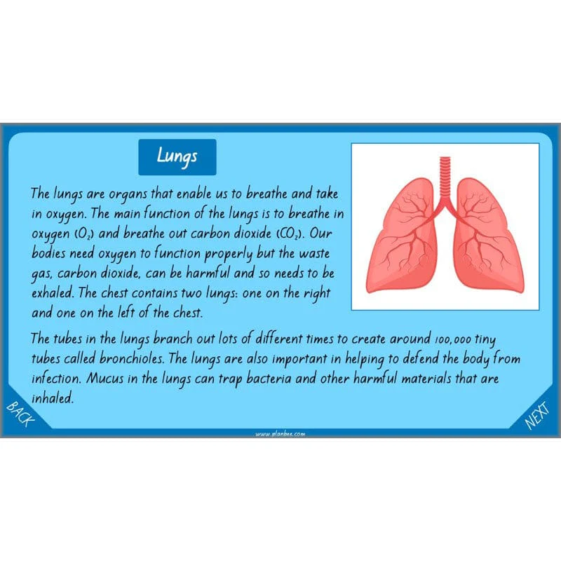 Healthy Bodies - Image 42