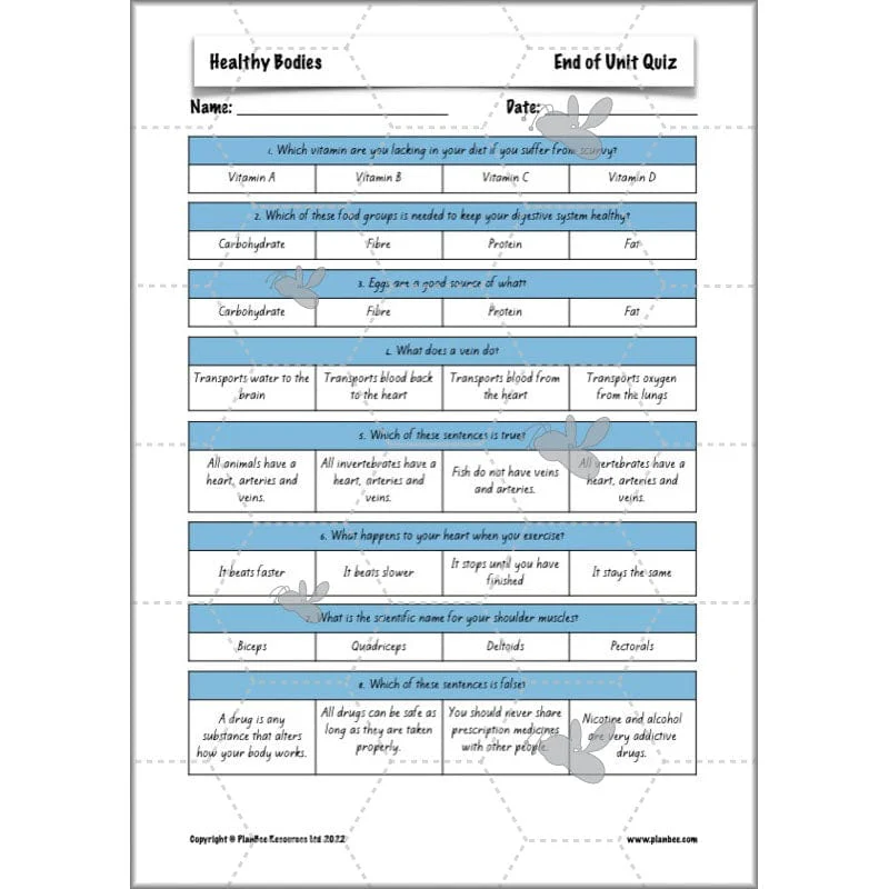 Healthy Bodies - Image 81