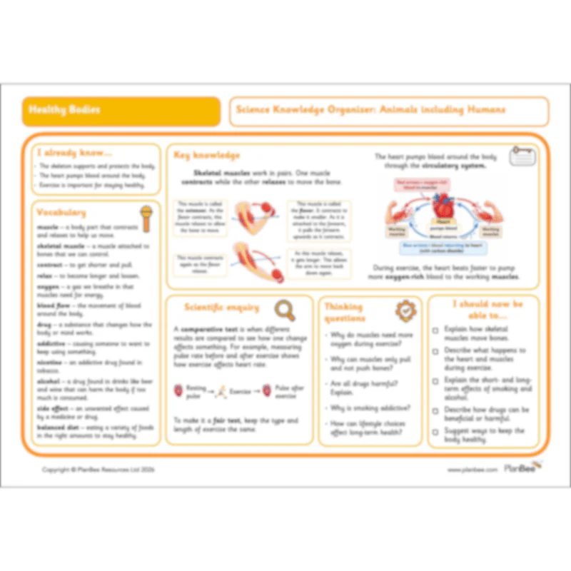 Healthy Bodies - Image 83