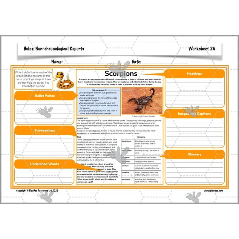 Holes: Non-chronological Reports - Image 10